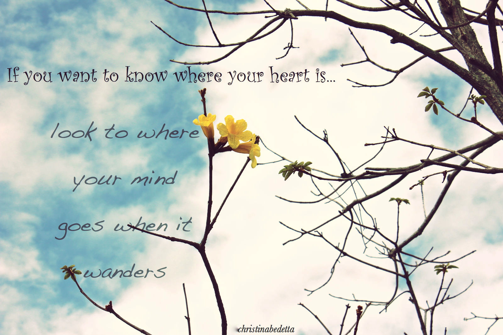 If You Want To Know Where Your Heart Is...look To Where Your Mind Goes When It Wanders." - Create. Nourish. Love.